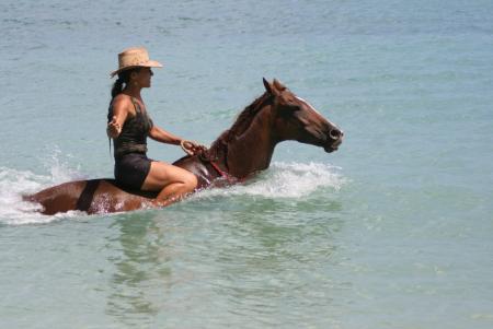 Being with Horses in Buccoo / Tobago
