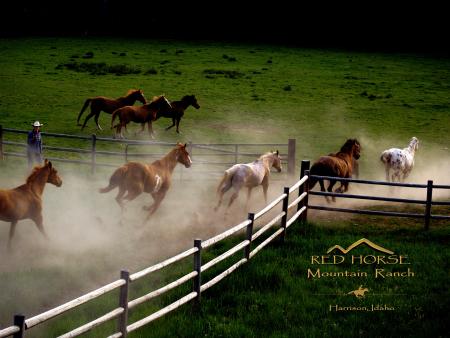 Red Horse Mountain Ranch in Harrison / Idaho