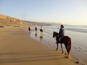 Horse trail on the Atlantic coast