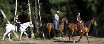American Horse Trails in Southwest Ranches / Florida
