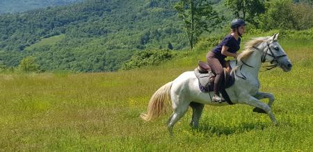 Holiday Company, Horse Trekking Station, Riding Stable, B & B for Horsemen, Hotel for Horsemen in Montieri