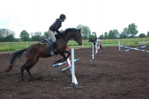 Property photo Riding lessons 2