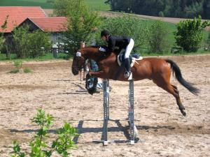 picture 3 from Riding School Fuchsenhof