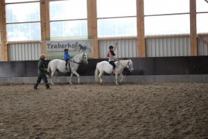 Foto del alojamiento Cursos de equitación 4