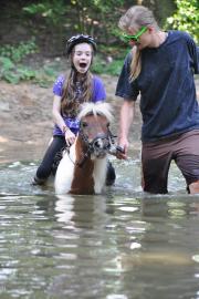 picture 4 from Horse riding Camp Juniorclub