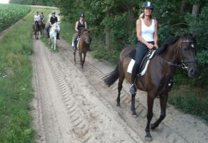 picture 2 from Hotel & Horse Riding Hitzacker