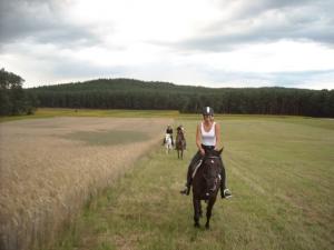 picture 4 from Hotel & Horse Riding Hitzacker