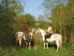 Property photo Riding lessons 4