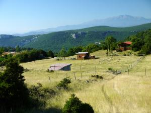 Our Village
