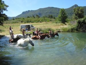 Cool off at the picnic area