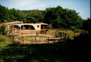 Our Stable