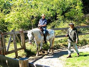 Riding Lessons