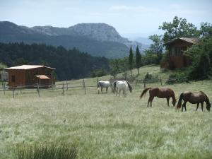 Roulotte and Chalet