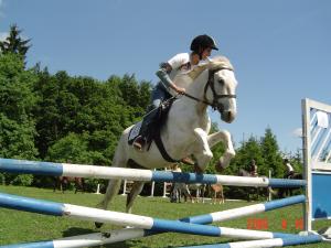Property photo Riding lessons 4