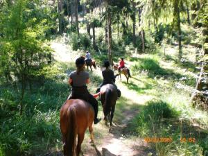 Traveling on Horseback