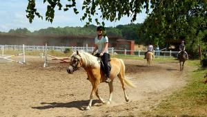 Property photo Riding holidays for children 2