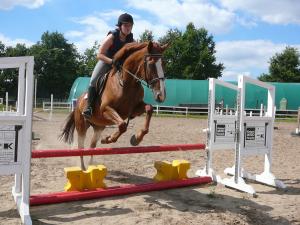Property photo Riding holidays for children 3