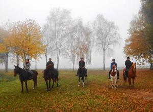 hacking out in autumn