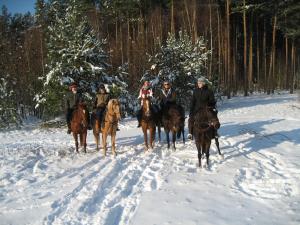 Winter Dreams on Horseback