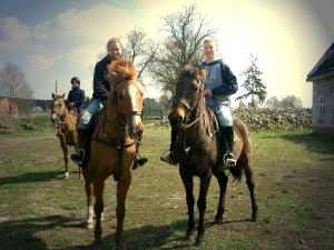 Trail ride with our winter polo ponies