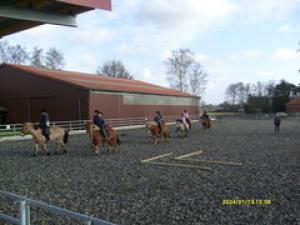 picture 2 from Ponyhof Hagedorn