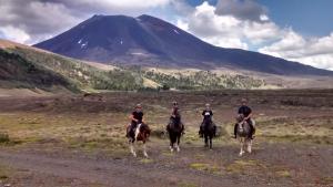 With chilian horses in the National Park