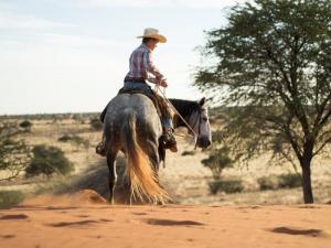 picture 2 from Bagatelle Kalahari Game Ranch