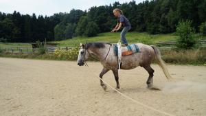 Property photo Riding holidays for children 1