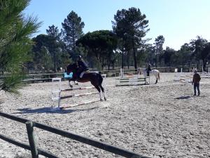 Show jumping lessons