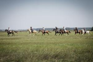 Gallop in the puszta